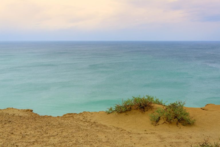 view-from-beaches-chabahar-with-cloudy-sky-plants-foreground-baluchistan-province_1048944-28578434